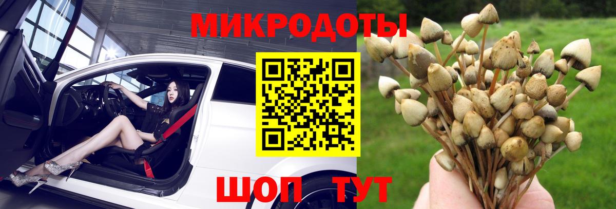 Псилоцибиновые грибы мухоморы Сафоново
